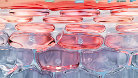 Rosactiv 2.0 Patented* Technology Imagem