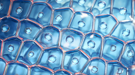 Skin Protect™ complex imagem