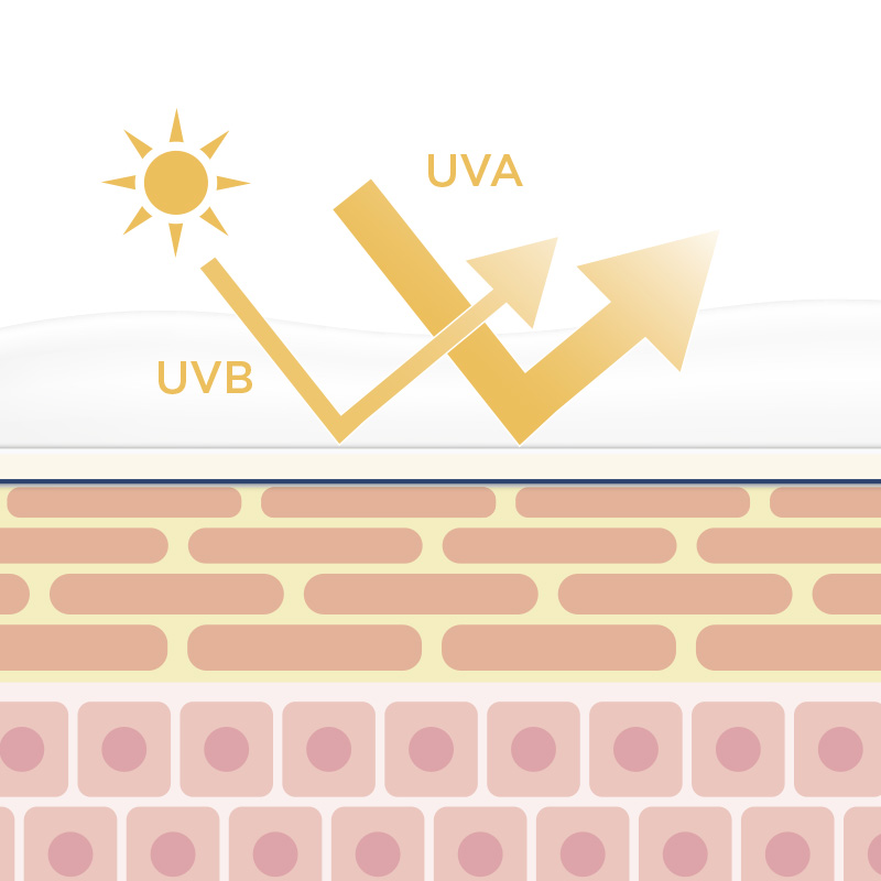 Diagrama UVA UVB da pele e do sol