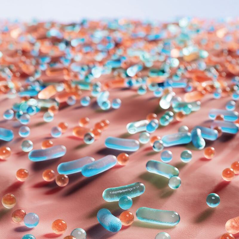 Microbioma no microscópio