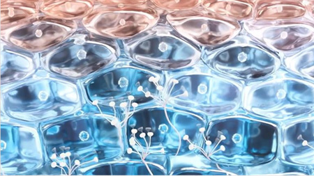 Imagem da Técnologia Antalgicine™ 