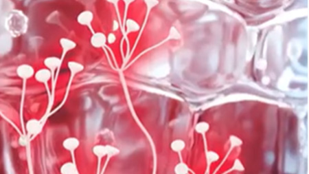 Defensive Technology imagem