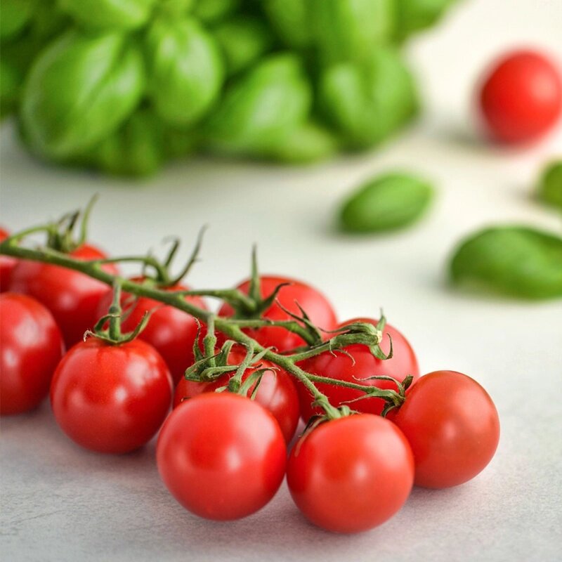 Alimentos para crianças com atopia