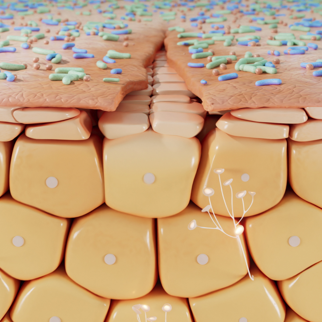 Modo de Ecobiologia Cicabio+